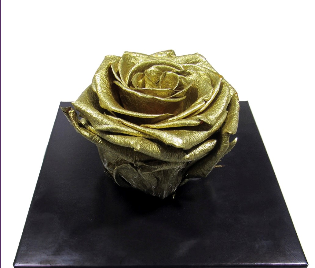 Metallic rose from Splendid Roses